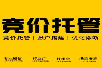 SEM托管服务案例：实现品牌价值最大化